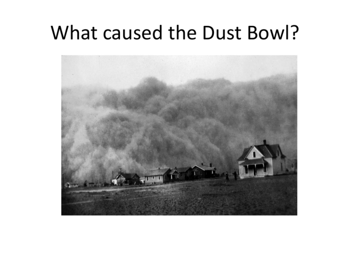 Dust bowl mini q answer key